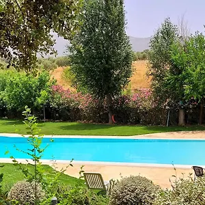 Bodega El Juncal España